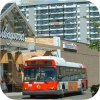 OC Transpo New Flyer